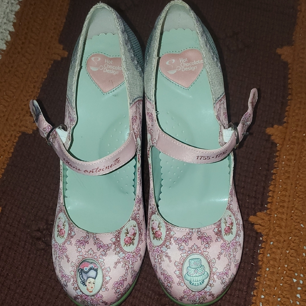 Marie Antoinette Shoes